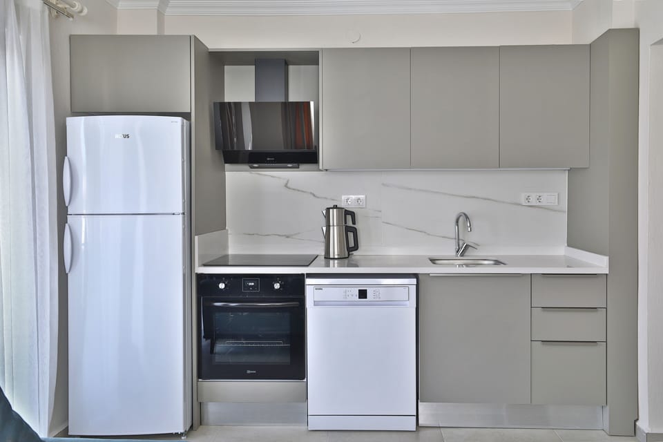 Deluxe Condo, 2 Bedrooms, Kitchen | Private kitchen | Oven, stovetop, dishwasher, electric kettle