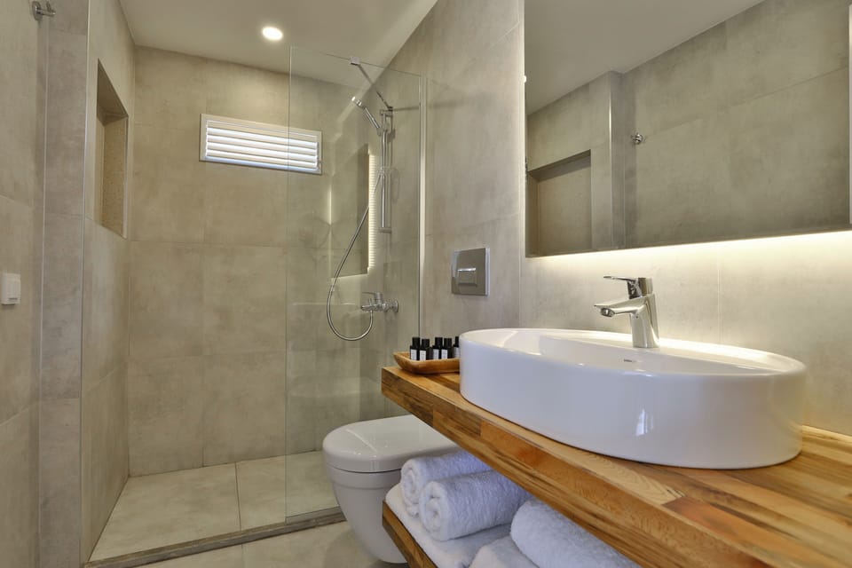 Shower, free toiletries, hair dryer, slippers