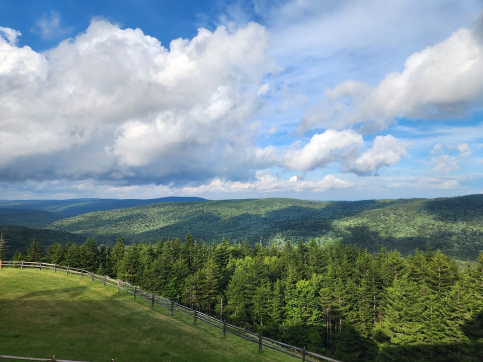 Summer view from bedroom 