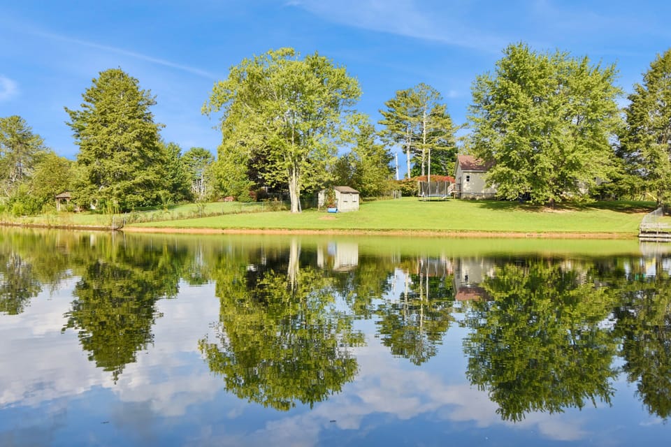 Nature, Outdoors, Scenery, Pond, Water