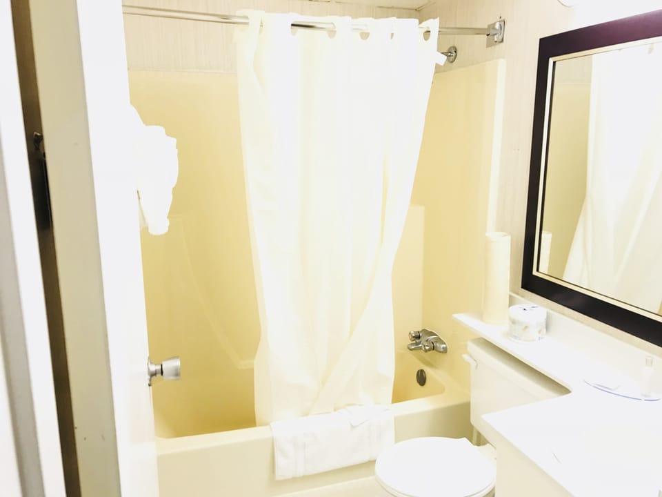 Combined shower/tub, free toiletries, hair dryer, towels