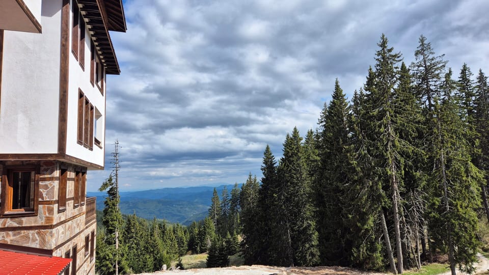 Studio, Accessible, Smoking | View from property