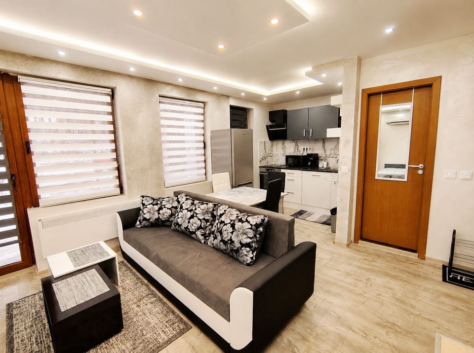 Apartment, Accessible, Smoking | Living room