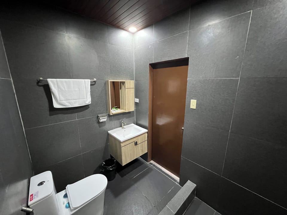 Premium Room | Bathroom | Shower, rainfall showerhead, free toiletries, towels