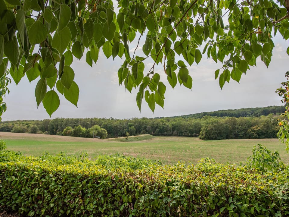 View from Holiday Home [summer]