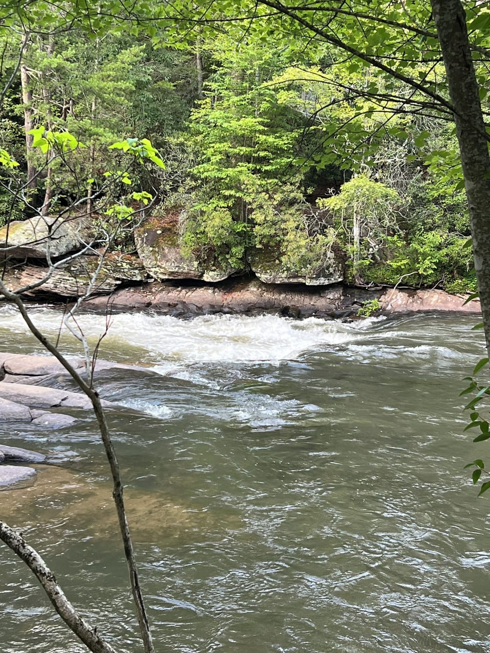 Toccoa River is less than 2 minutes from the cabin.
