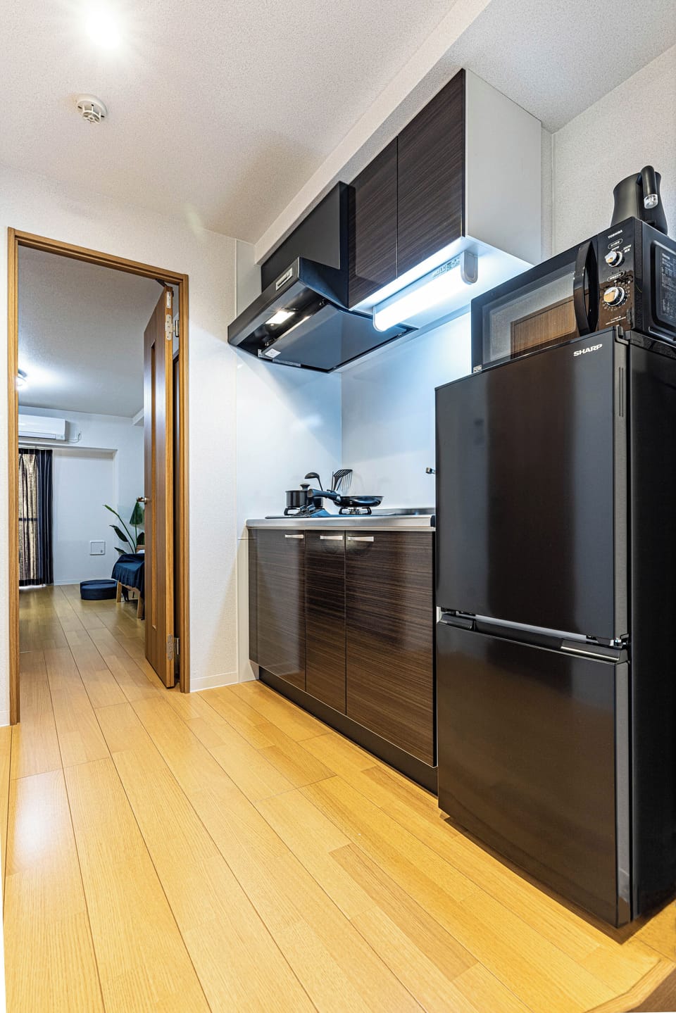 Family Room, Balcony, City View | Private kitchen | Mini-fridge, microwave, stovetop, electric kettle