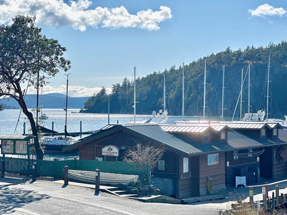 Deer Harbor Marina across the street. Food/grocery/laundry/tours/rentals