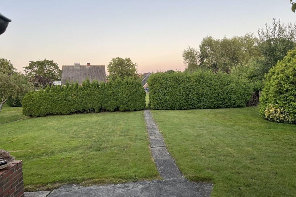 Garden [summer]
