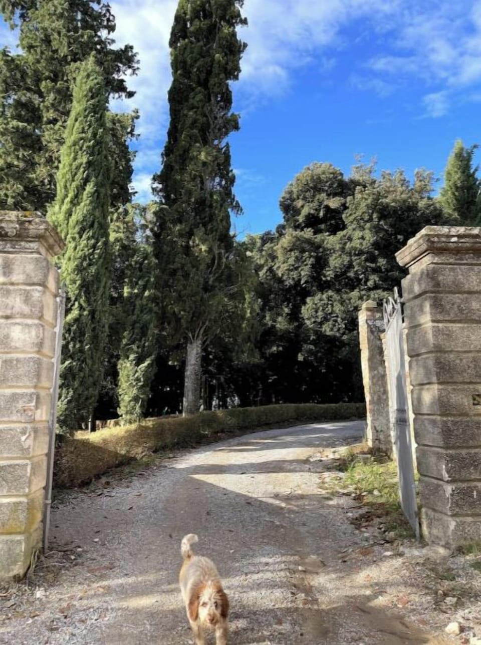 Main entrance to the Borgo