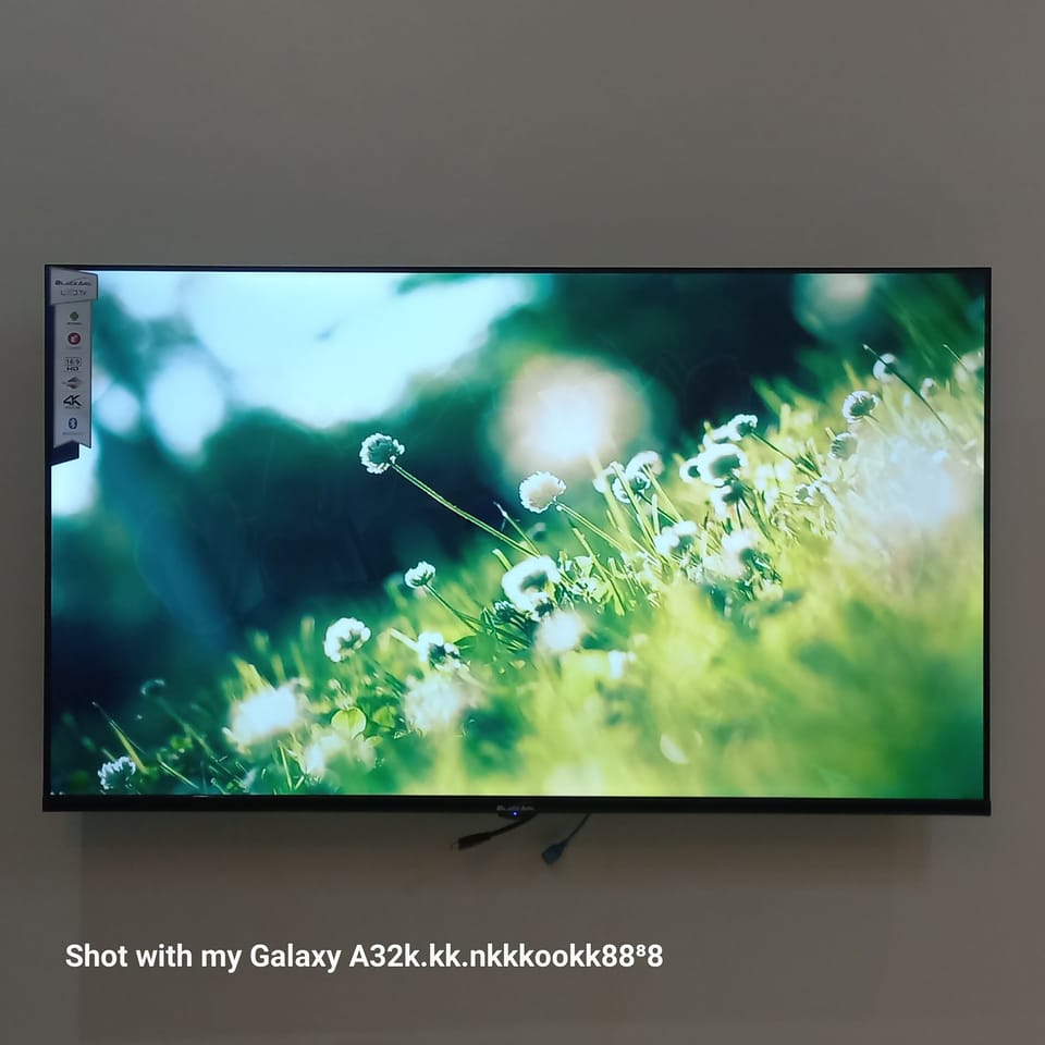 Television