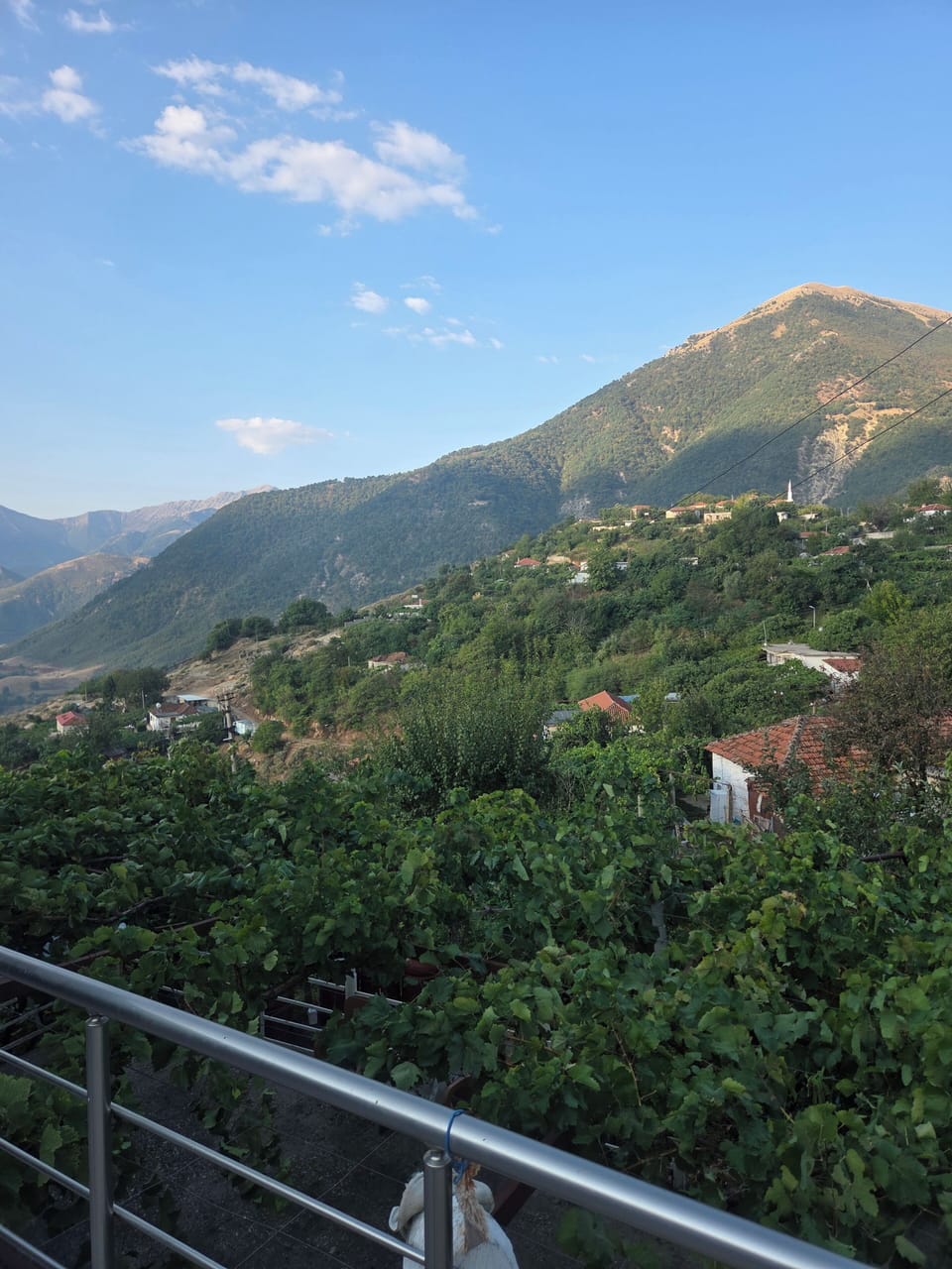 View from property