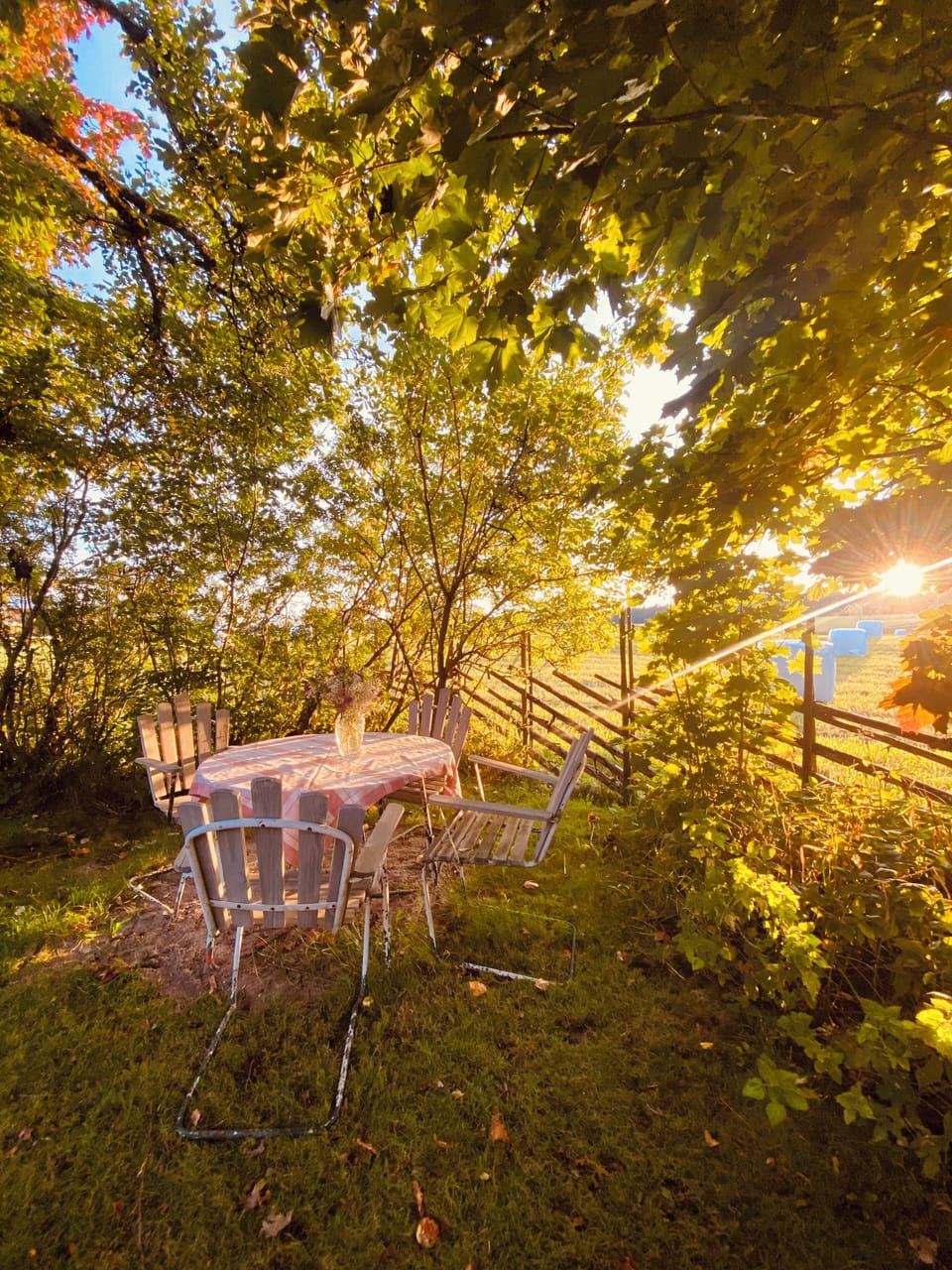 Outdoor dining