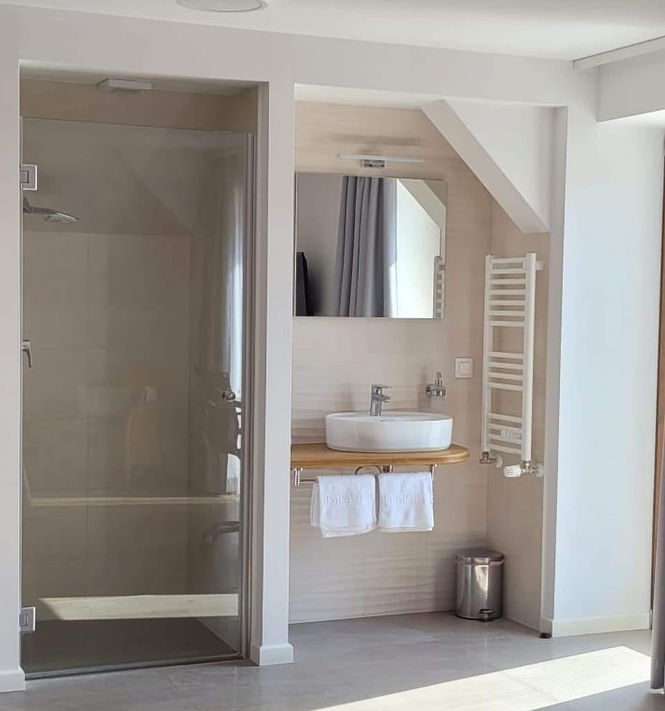 Deluxe Double Room | Bathroom | Shower, free toiletries, hair dryer, towels