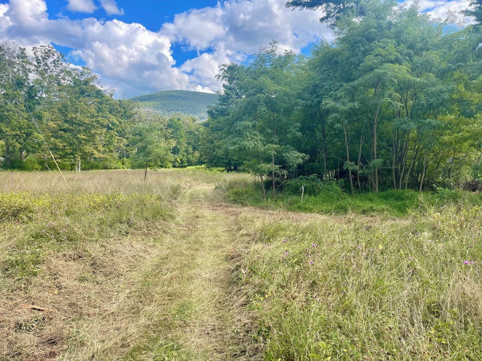 On-property trail winds through forest—your peaceful Hudson Valley escape.