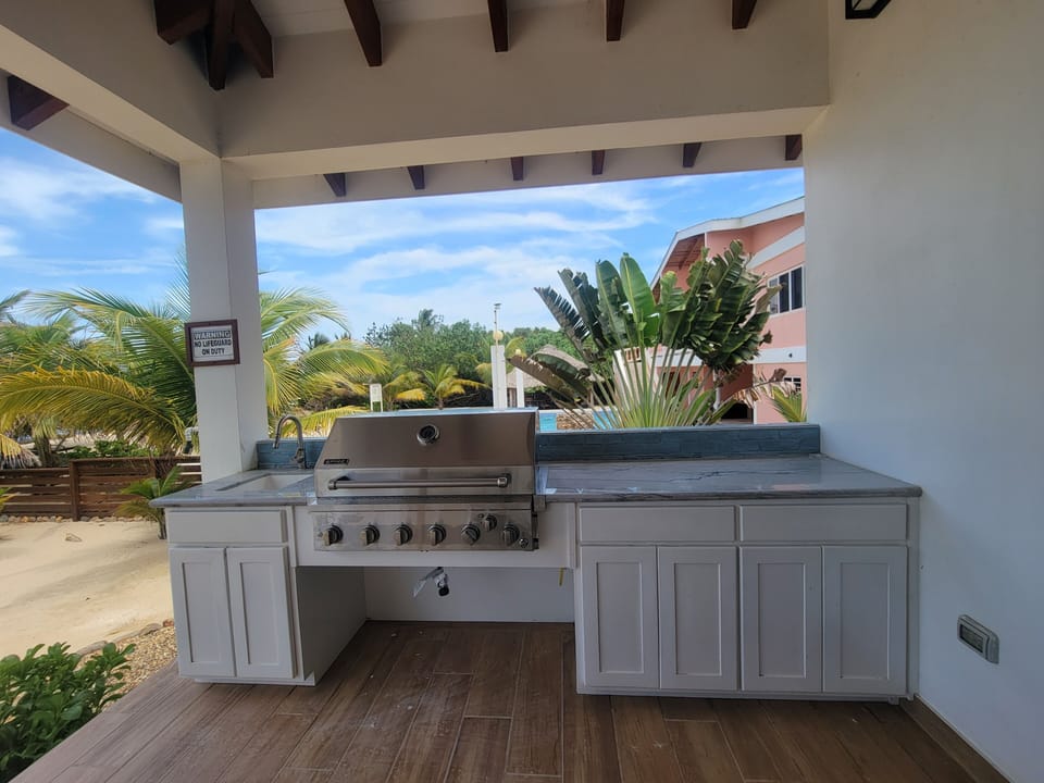 Outside Kitchen with BBQ & Sink