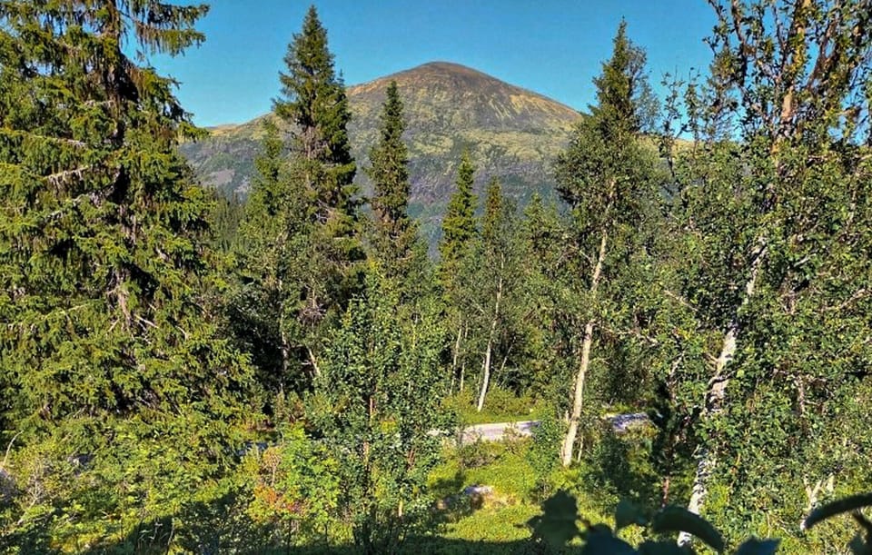 view-from-room