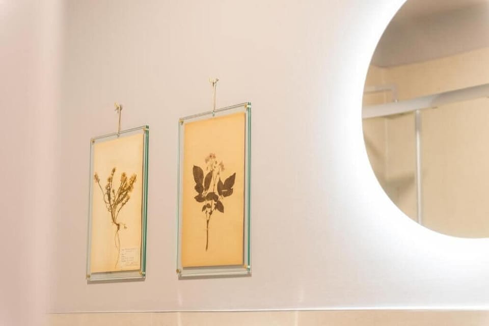 Superior Quadruple Room | Bathroom | Shower, hair dryer, bidet, towels