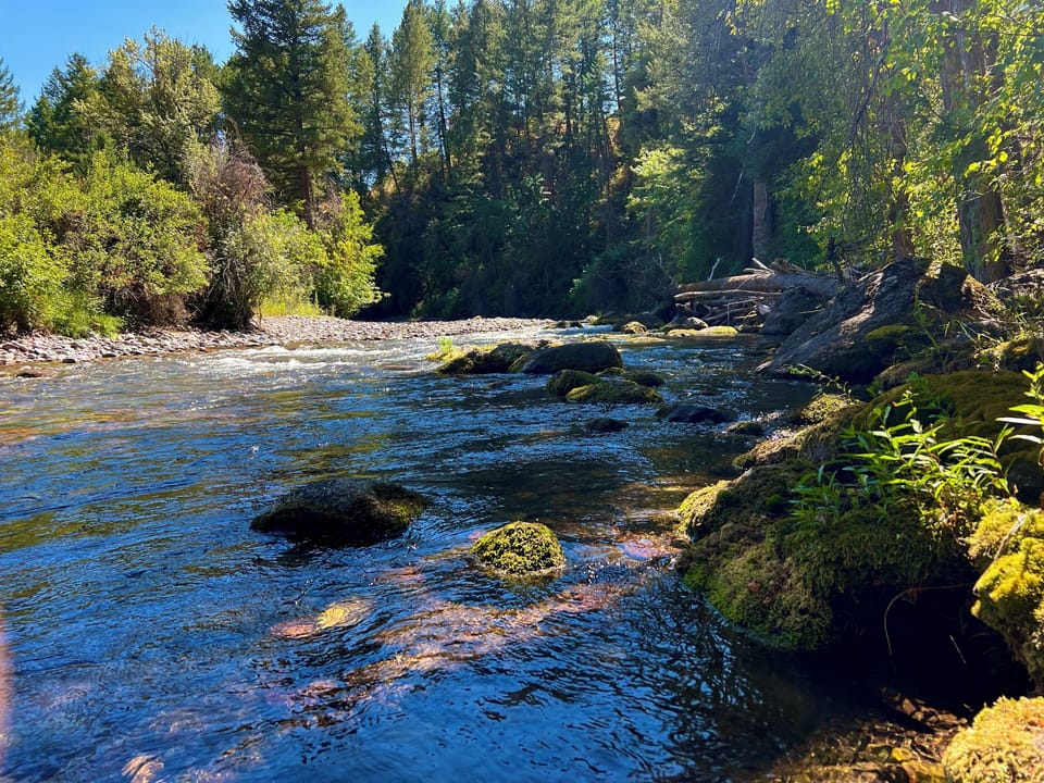 Jocko River