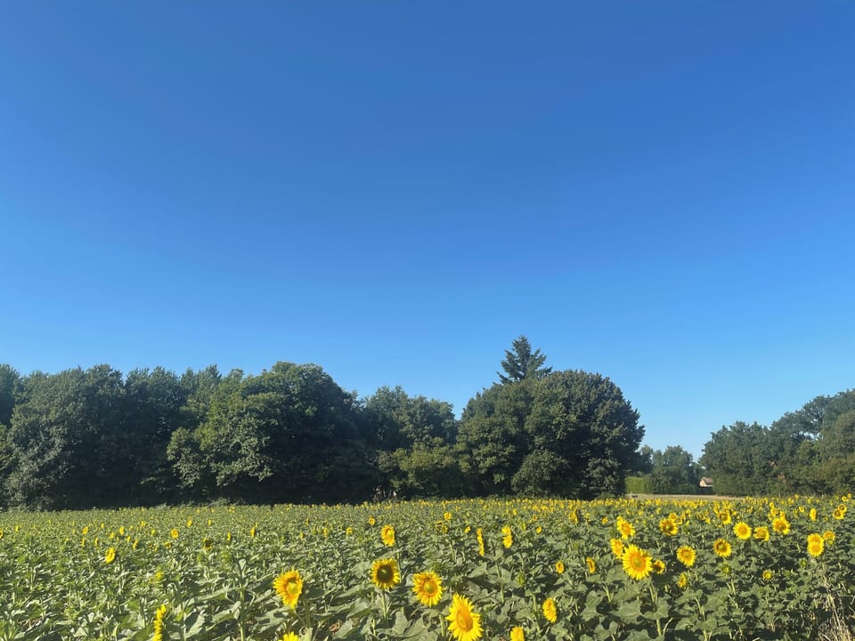Countryside location