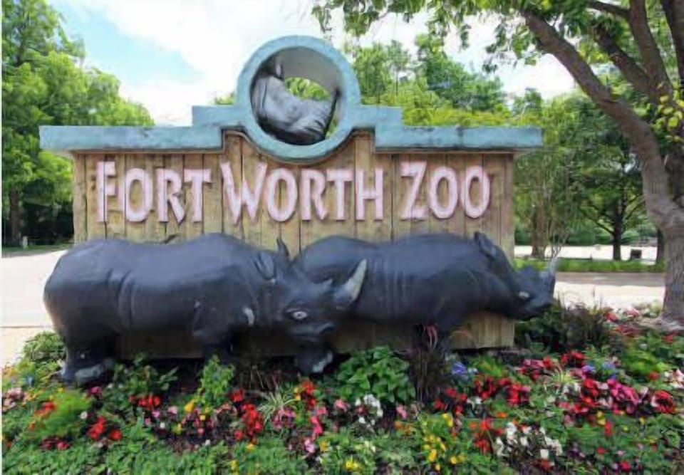 Take a journey around the world at the Fort Worth Zoo, where you can explore ecosystems ranging from the African savanna to the Asian rainforest. It is 9 mins driving.