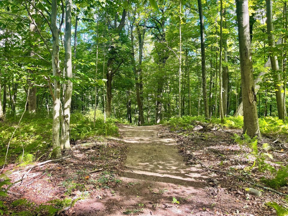 Half-mile private trail through meadows with mountain views