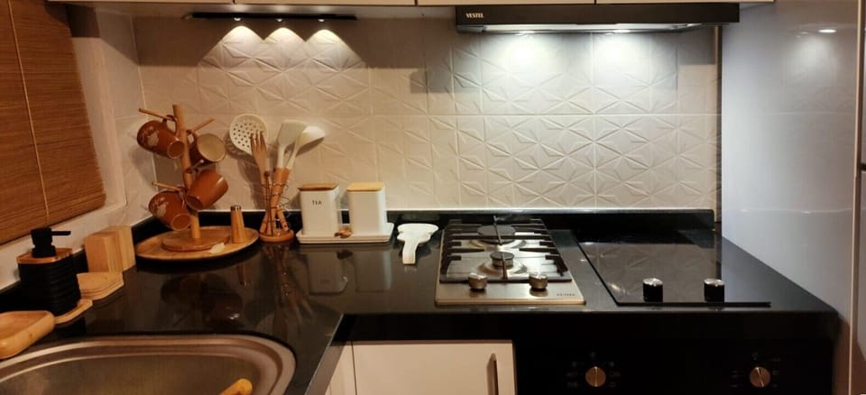 Electric & gas stoves with oven and kitchen hood.
