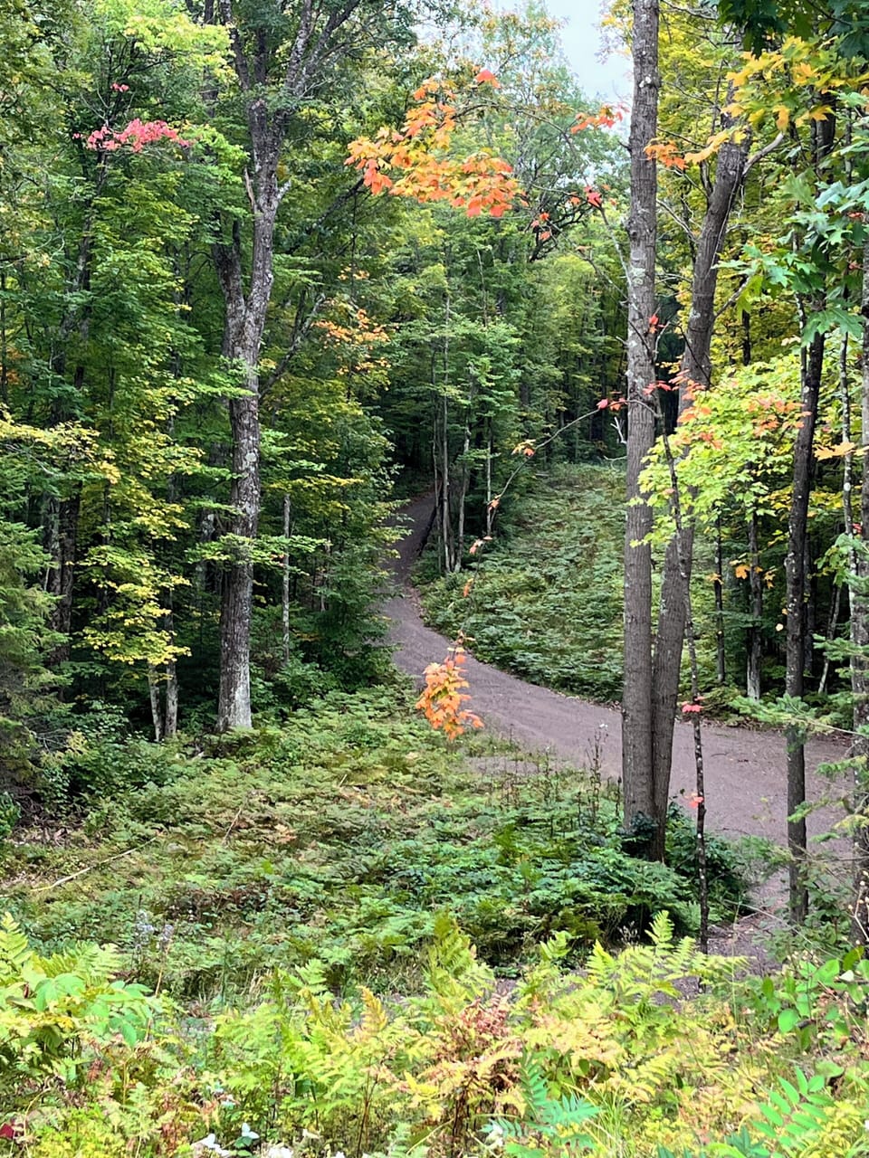 Drive from Morgan Road