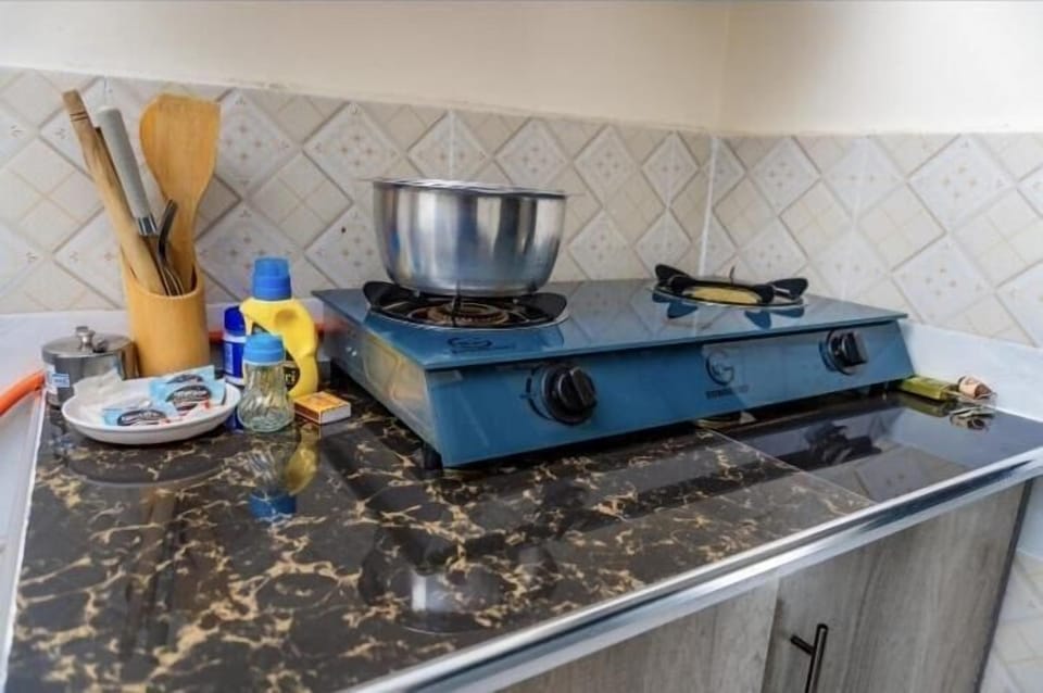Classic Apartment | Private kitchen | Fridge, microwave, cookware/dishes/utensils