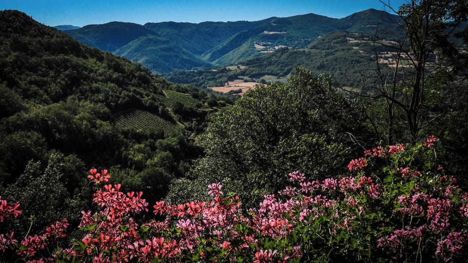 Land view from property