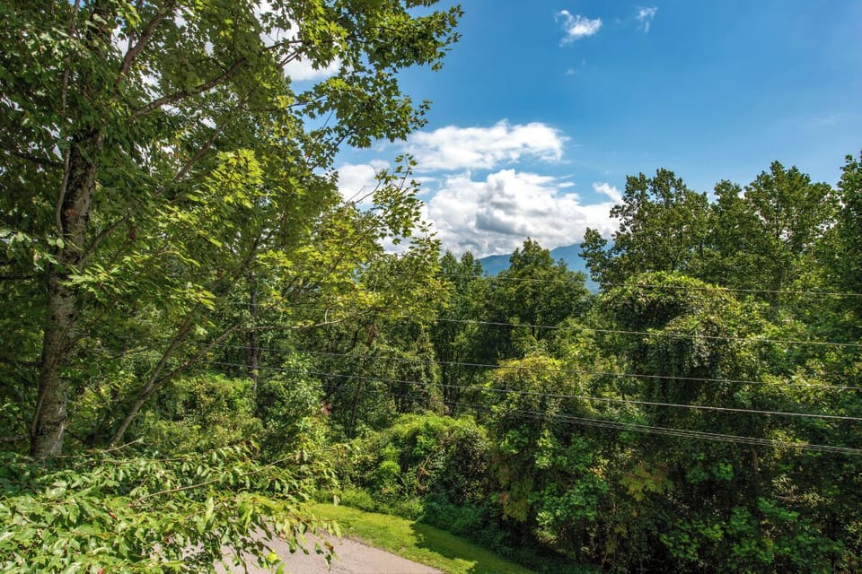 View from Paradise's relaxing deck