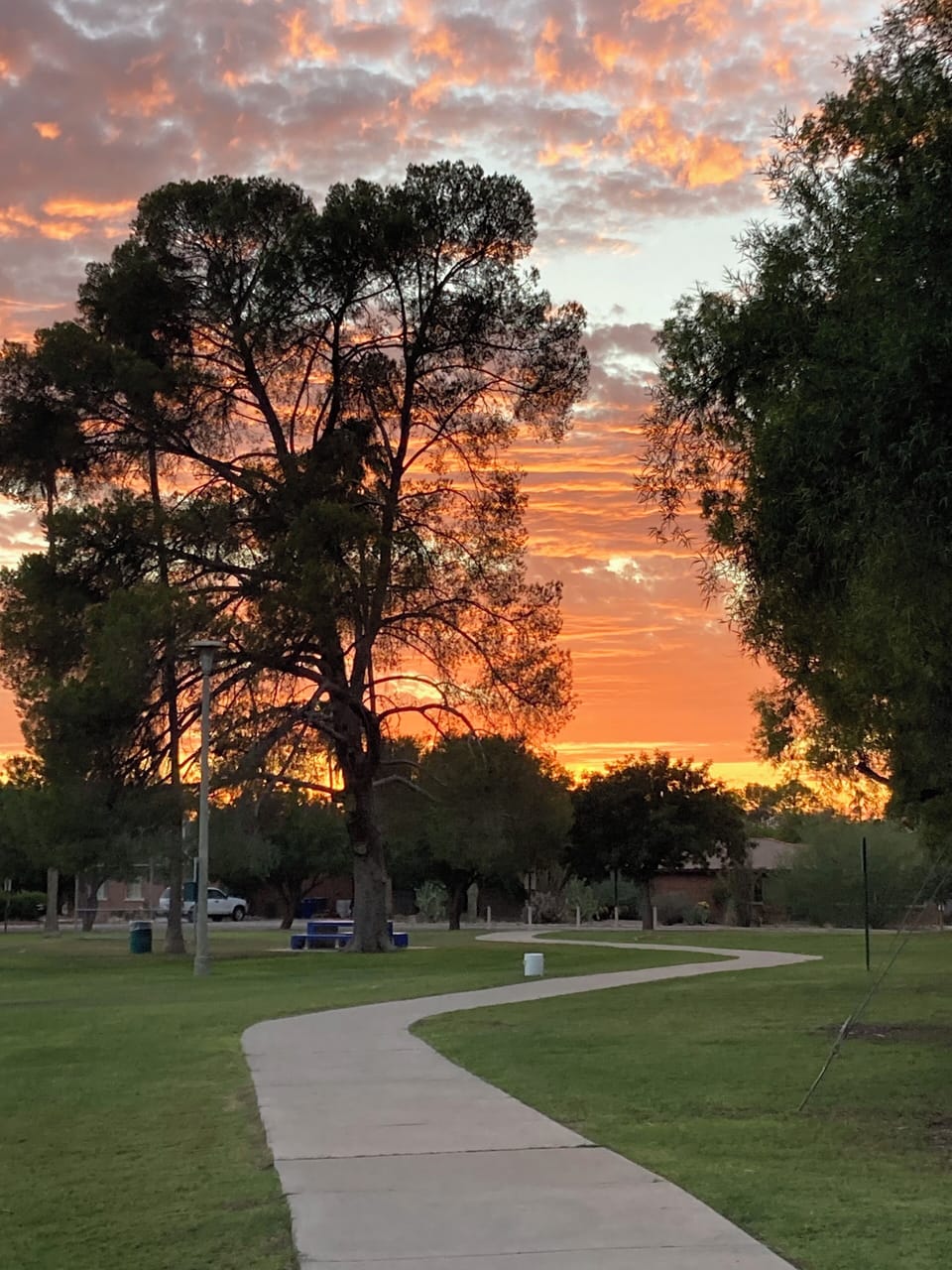 Hoffman Park (1/2 block from house)