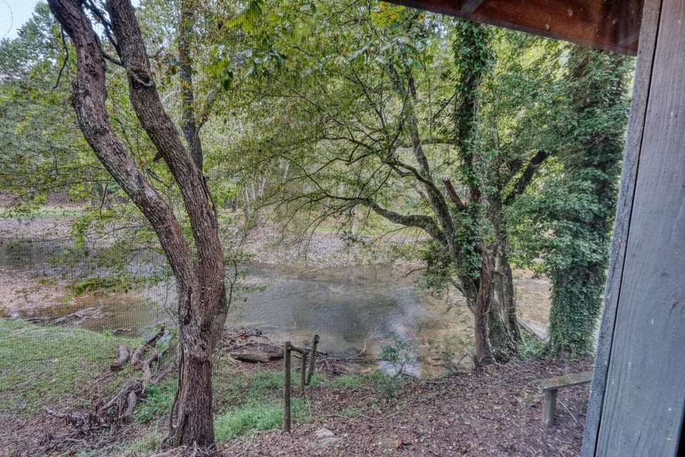 Feel the soft woodland breeze as the river hums a quiet, rhythmic lullaby.
