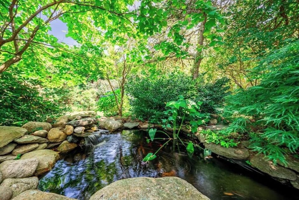 Koi pond on property