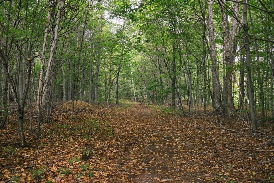 Hidden trails on the private property!