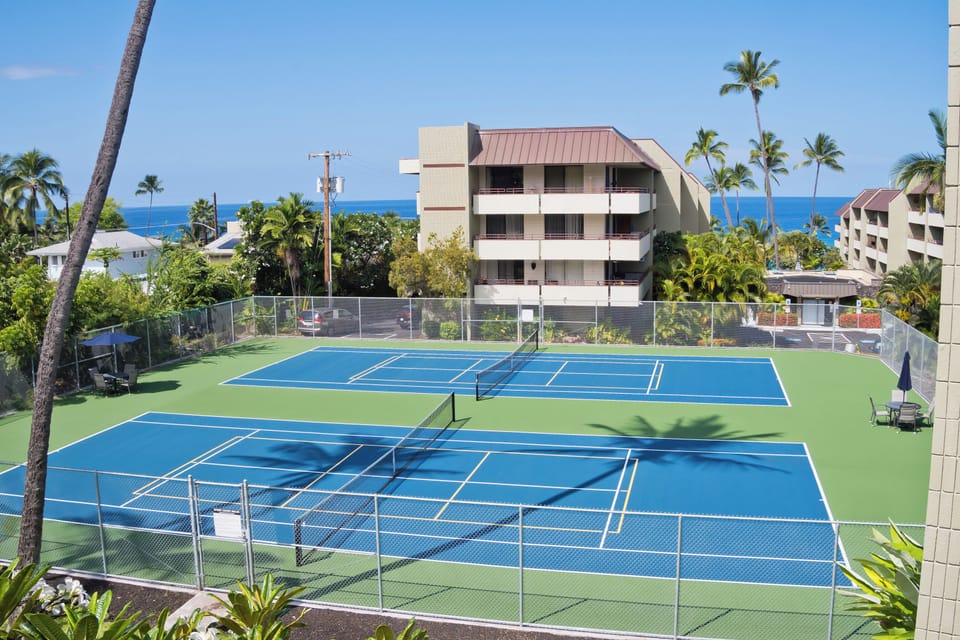 Sport court