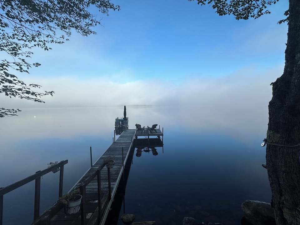 Morning fog on the lake