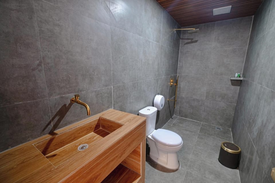 Deluxe Room | Bathroom | Shower, rainfall showerhead, free toiletries, towels