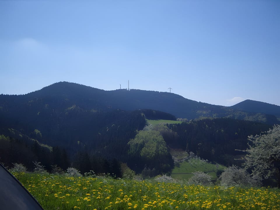 View from property