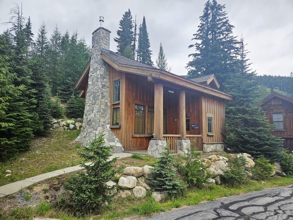 Tree, Fir, Architecture, Building, Cottage
