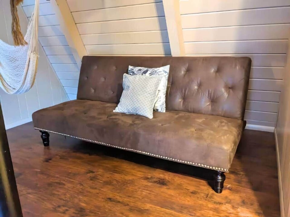 Living room with sofa bed.