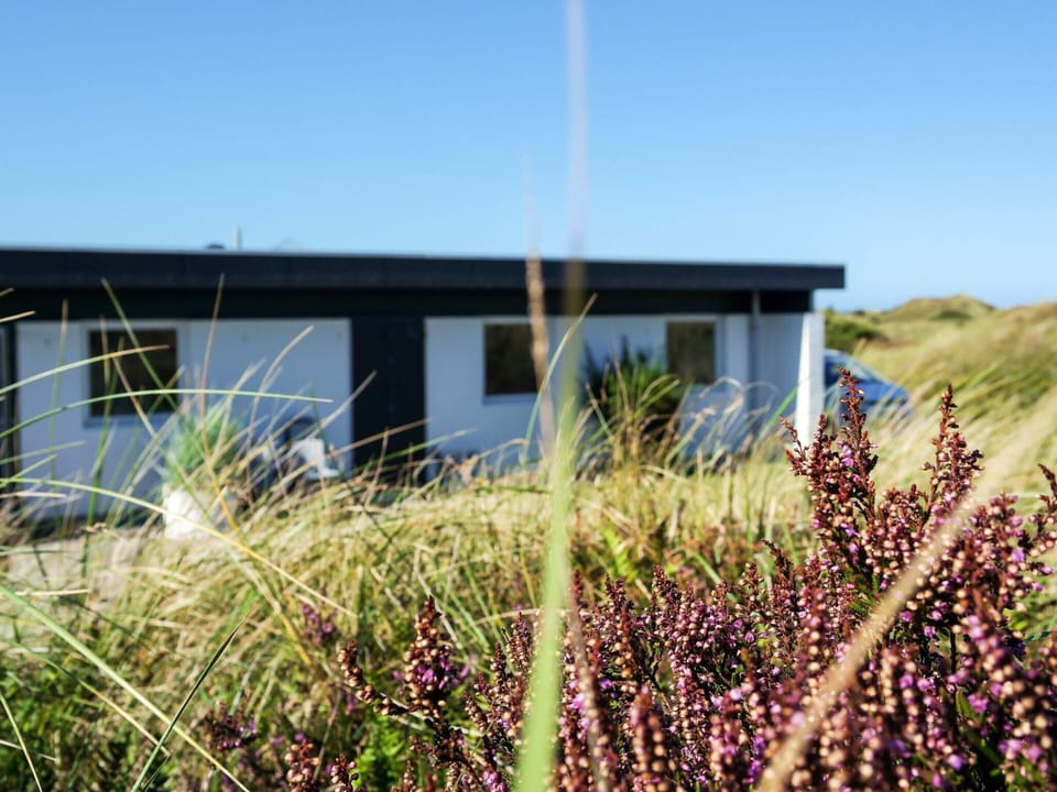 House | View from property