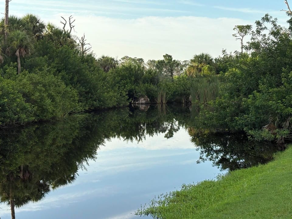 Small canal behind home