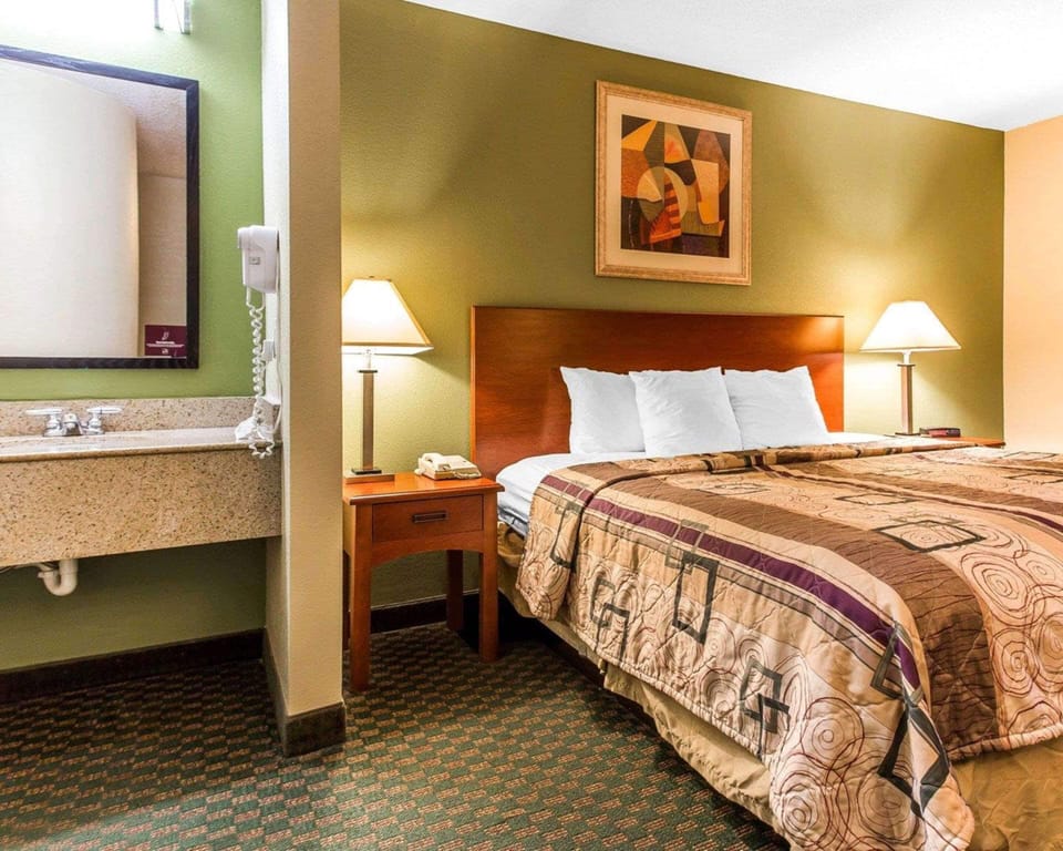 Standard Room, 1 King Bed, Non Smoking | Premium bedding, pillowtop beds, individually furnished, desk