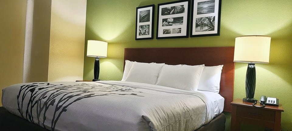 Standard Room, 1 King Bed, Non Smoking | Premium bedding, pillowtop beds, individually furnished, desk