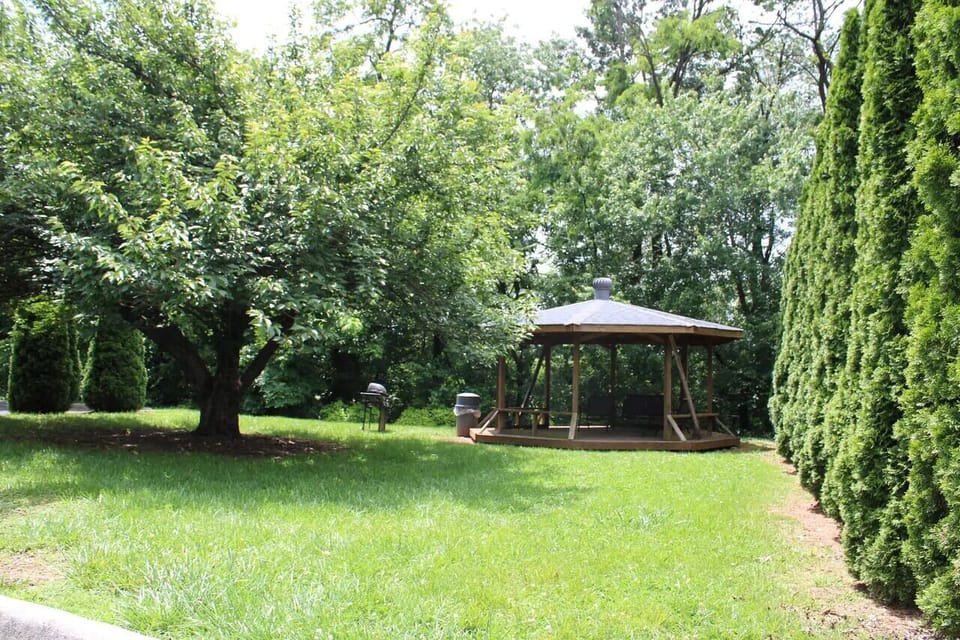Unwind outdoors beneath shady trees by the gazebo.