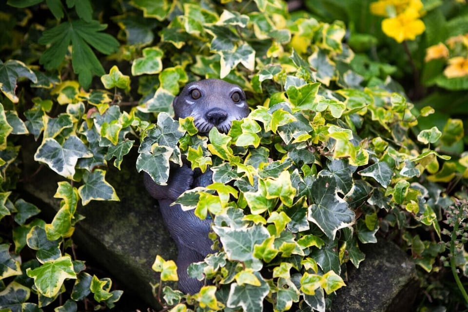 Garden detail with a playful ornament