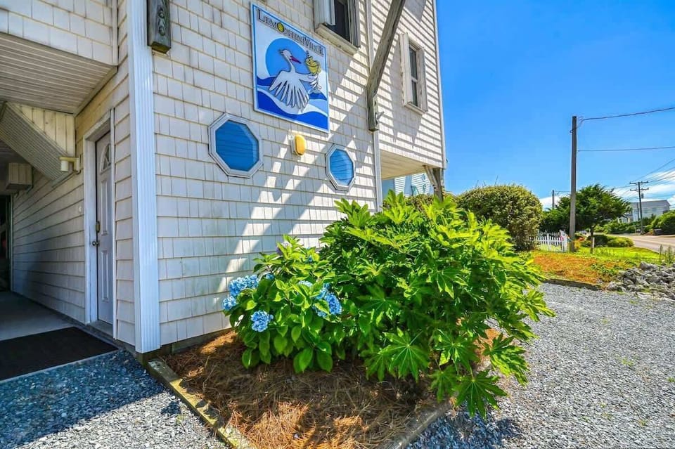 Ground Level-Entrance to House