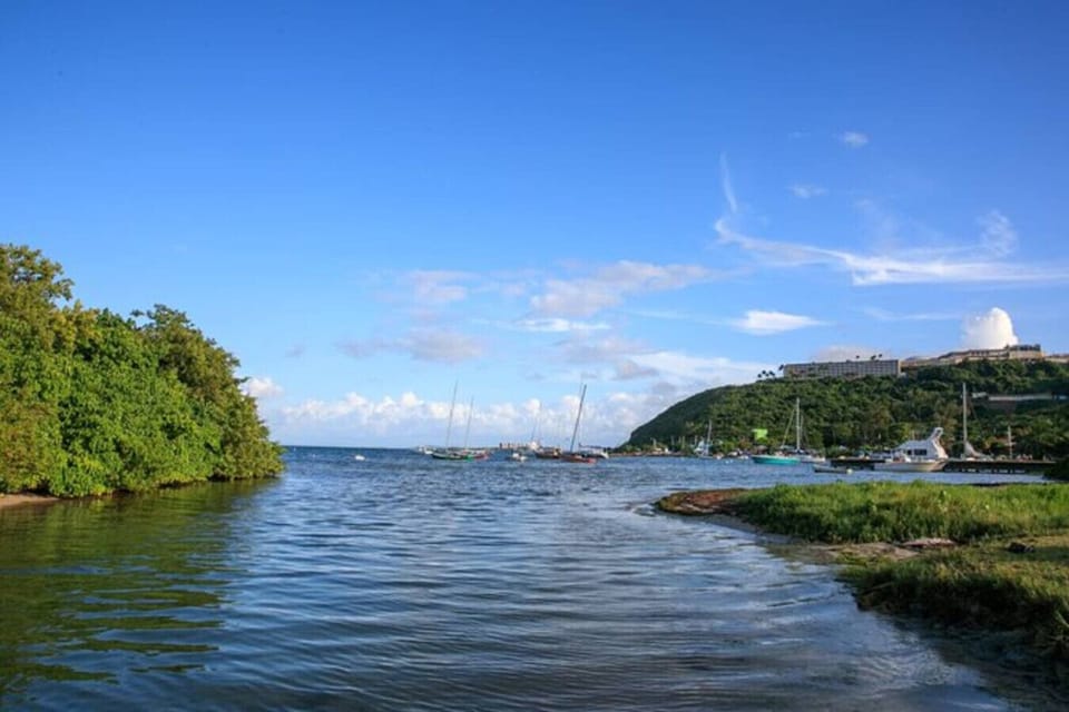 Ocean route to the bioluminicents Bay