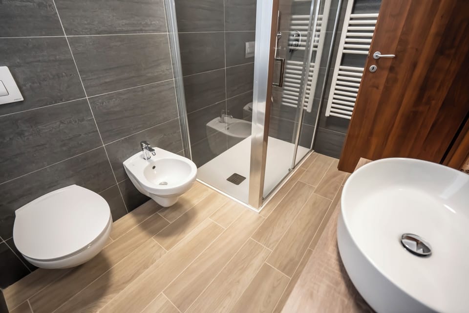 Deluxe Suite | Bathroom | Shower, hair dryer, towels, soap